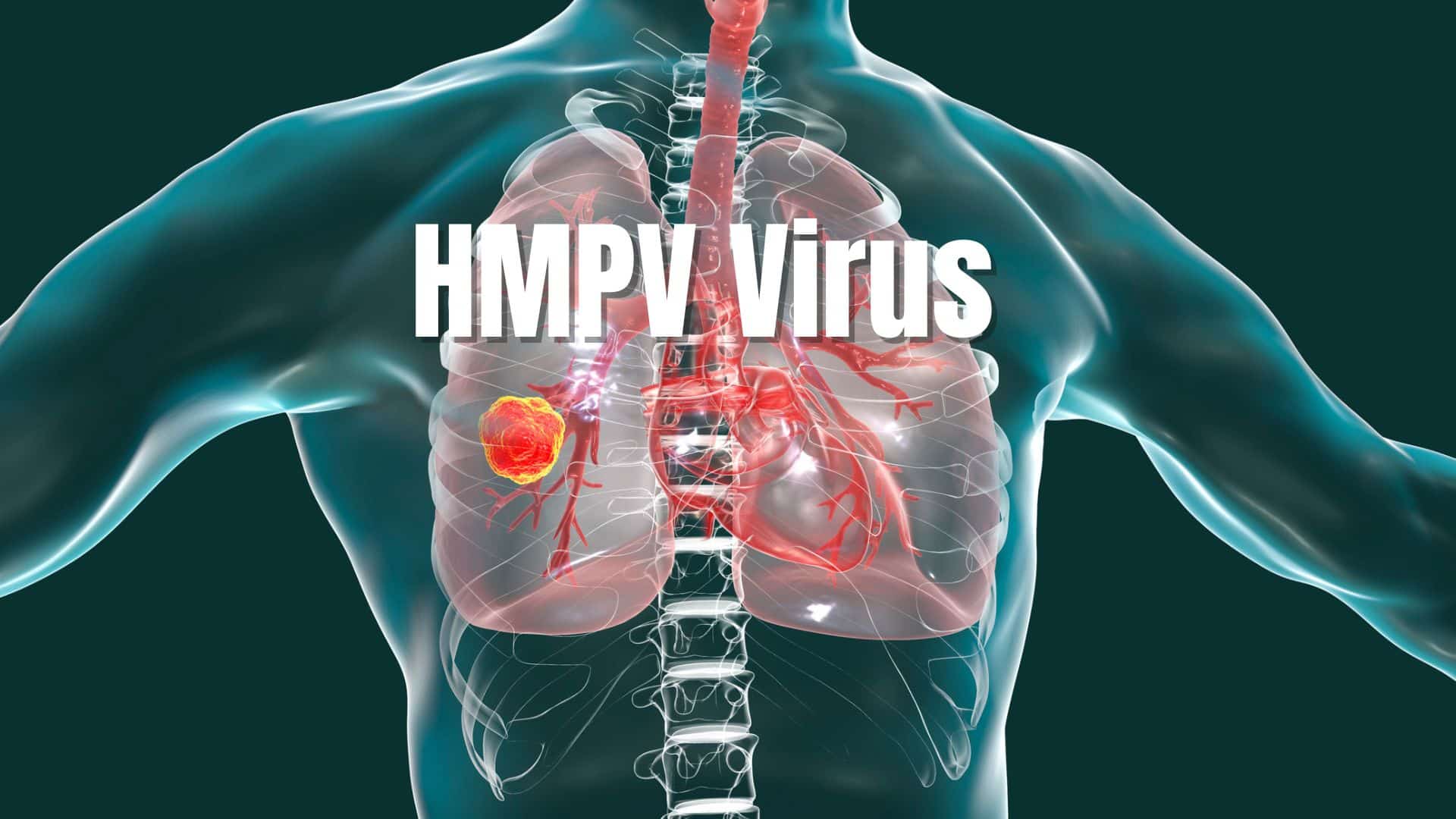 China Faces Covid-19-like Surge: Some Basic Facts about HMPV and Other Viruses Overloading Hospitals and Crematoriums